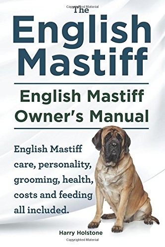 English mastiff - english,