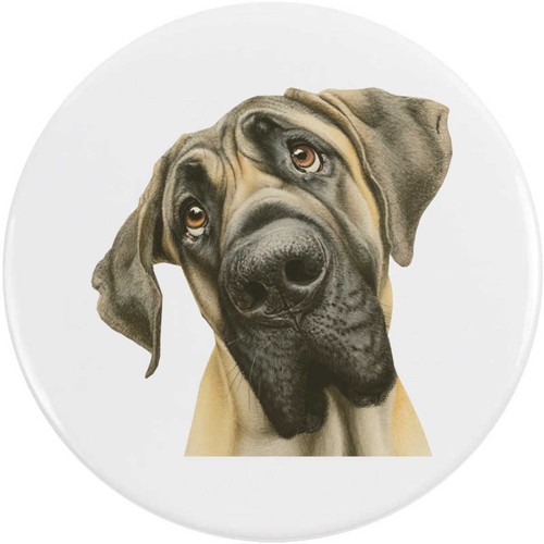 Funny english mastiff dog - mastiff, dog'