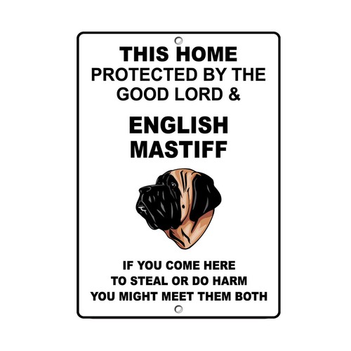 English mastiff dog - dog, home