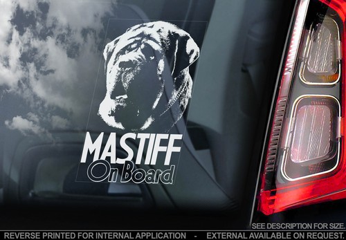 Mastiff car window - mastiff,
