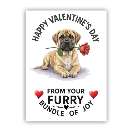 English mastiff dog - mastiff,