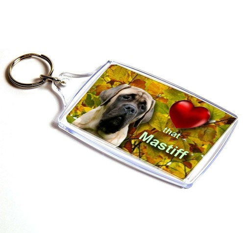 English mastiff gift - gift, dog