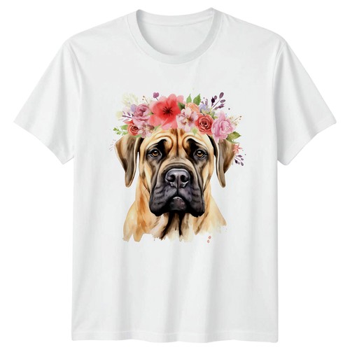 English mastiff dog - english, wearing