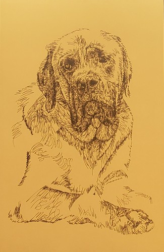 English mastiff dog art print - dog,