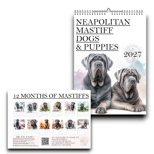 Neapolitan mastiff calendar - neapolitan,