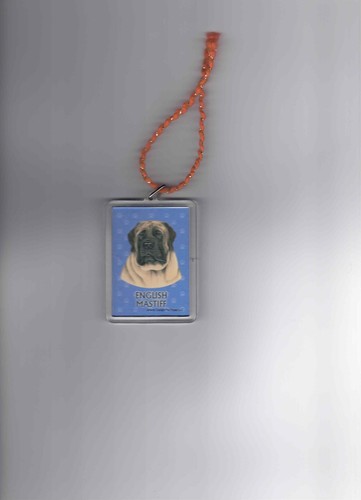 English mastiff dog acrylic - english,