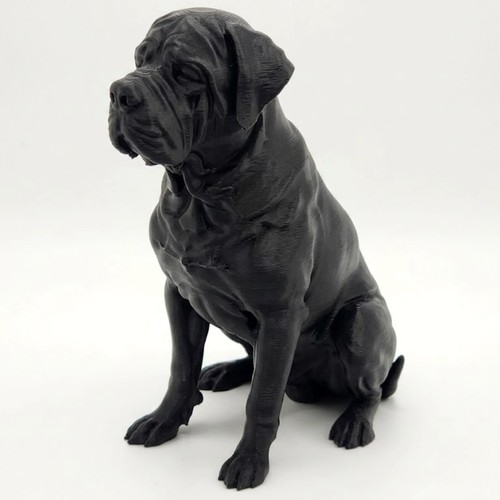 English mastiff dog - english,