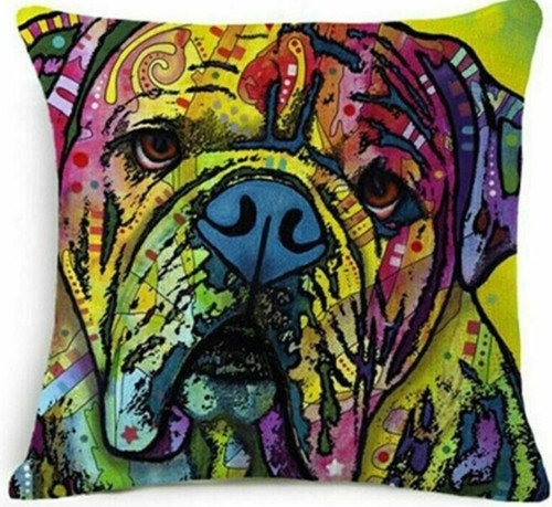 English bulldog mastiff bully - mastiff,
