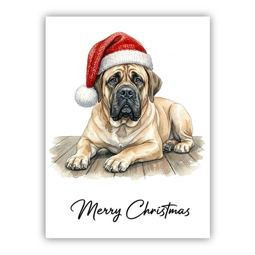 English mastiff dog christmas - dog,