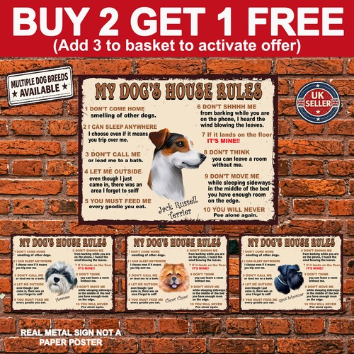 Dog house rules - my, metal