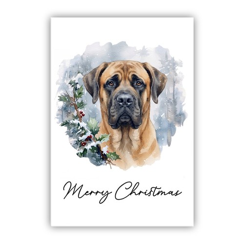 English mastiff dog christmas - english,
