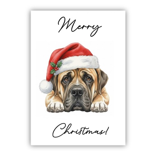 English mastiff christmas - mastiff,