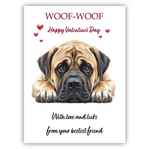 English mastiff valentine - english,