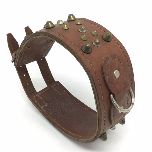 English mastiff dog - english, collar