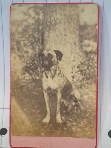 Rare antique cdv - rare,