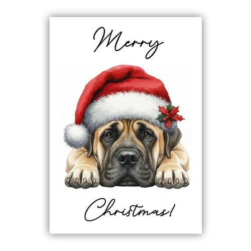English mastiff christmas dog - english,