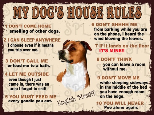 Dog house rules - my,