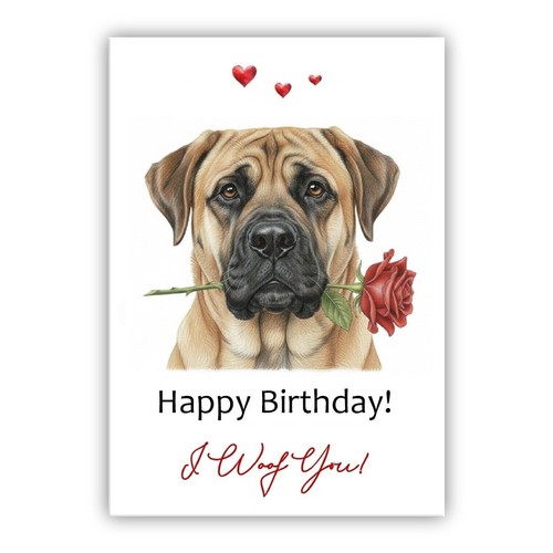 English mastiff dog birthday - english,