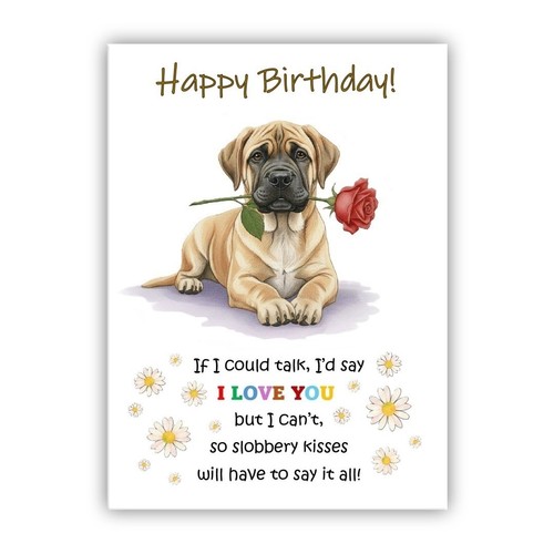 English mastiff birthday card - english,