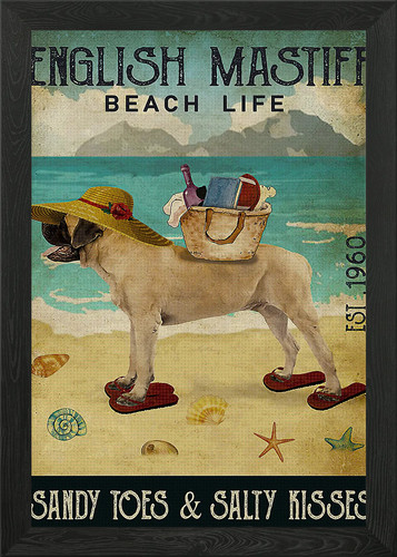 English mastiff dog framed - dog,