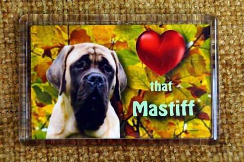 English mastiff gift - english, dog