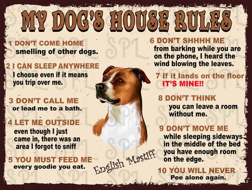 English mastiff dog house - english,