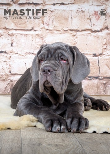 Mastiff 2027 a3 wall - 2027,