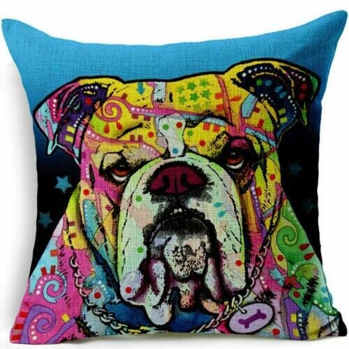 English bulldog mastiff bully - mastiff,
