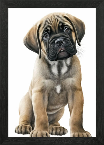 English mastiff dog framed - mastiff,