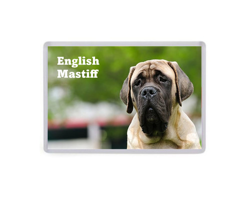 English mastiff dog jumbo - dog,