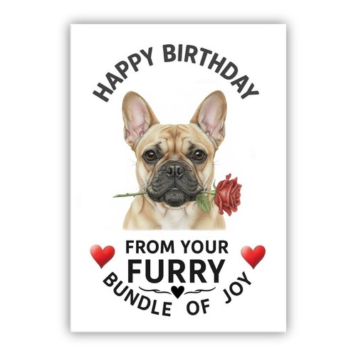Birthday card from the - dog, –