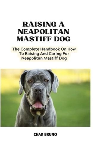 Chad bruno neapolitan mastiff - chad,