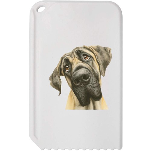 Funny english mastiff dog - english, dog'