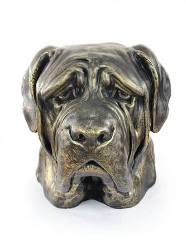 English mastiff large head - english,