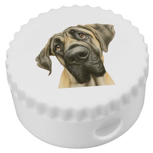 Funny english mastiff - 'funny,